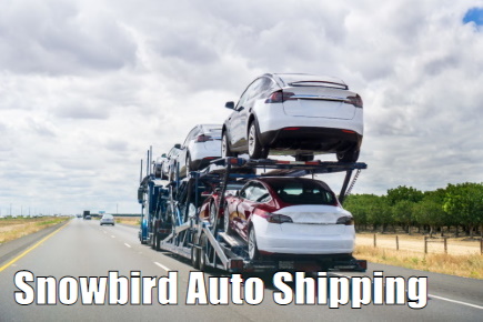 Snowbird Auto Shipping