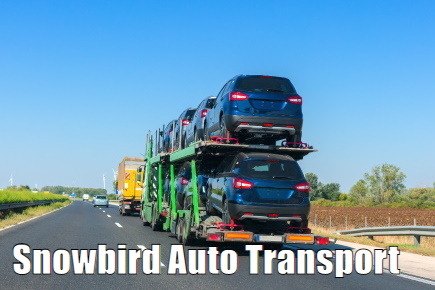 Snowbird Auto Transport